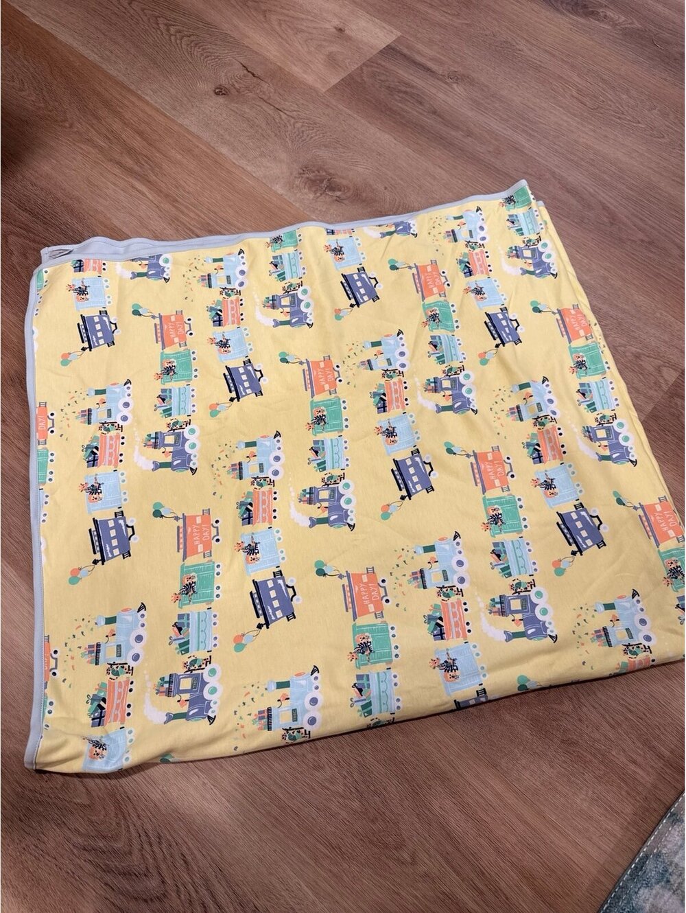 Beaufort Bonnet train blanket